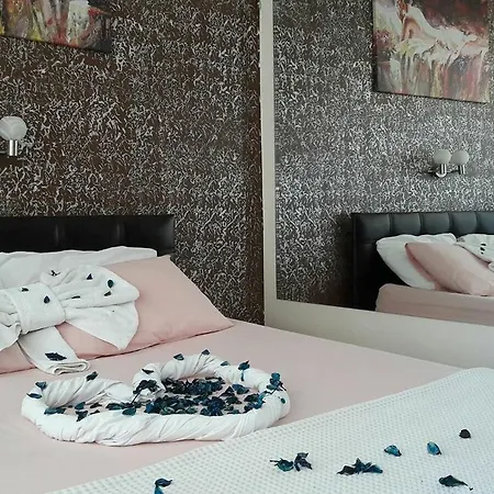 Toros B&B 디딤
